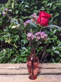 Single red rose in bud vase